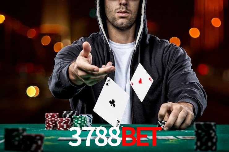 3788bet app